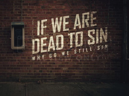 If We Are Dead To Sin, Why Do We Still Sin?