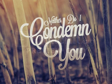 Neither Do I Condemn You