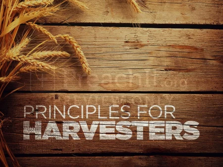 Principles For Harvesters