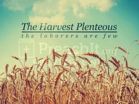 The Harvest Plenteous, but the Laborers Are Few
