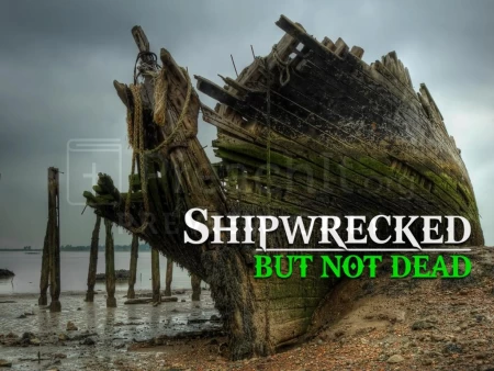 Shipwrecked But Not Dead