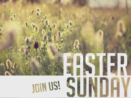 Easter Welcome Spring Flowers