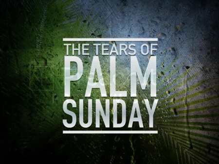 The Tears of Palm Sunday