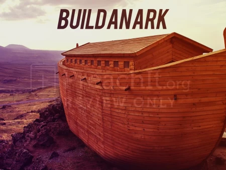 Build An Ark