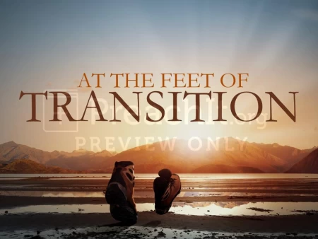At the Feet of Transition