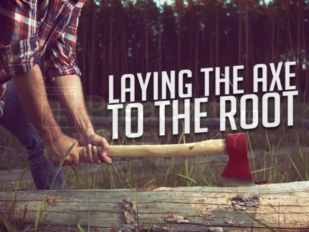 Laying The Axe To The Root