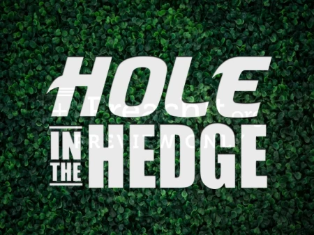 Hole In The Hedge, A