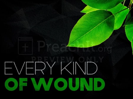 Every Kind Of Wound