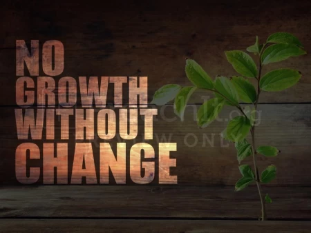 No Growth Without Change