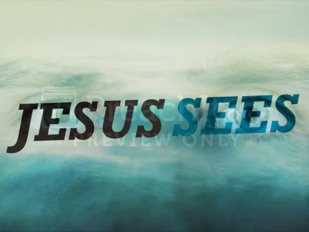 Jesus Sees