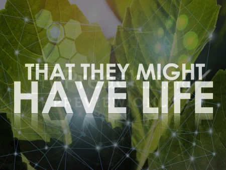 That They Might Have Life