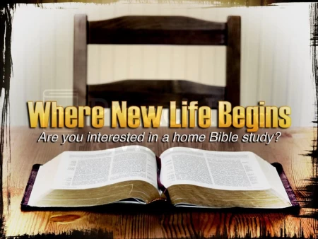 Are You Interested In A Bible Study?
