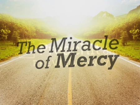The Miracle of Mercy – Handout