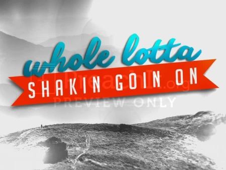 Whole Lotta Shakin Goin On