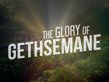 The Glory of Gethsemane