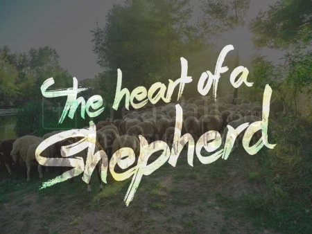 The Heart of a Shepherd