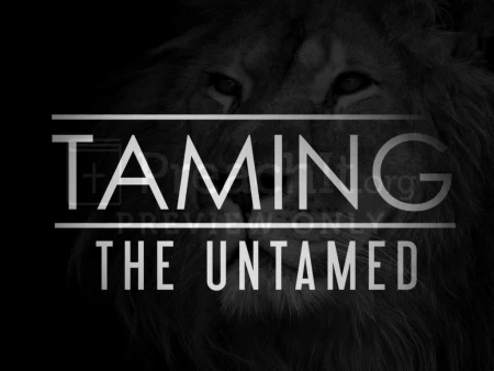 Taming the Untamed