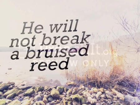He Will Not Break A Bruised Reed