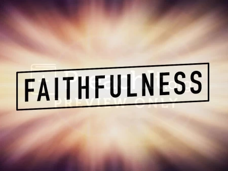 Faithfulness