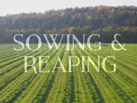 Sowing And Reaping