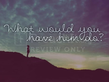 What Would You Have Him Do?