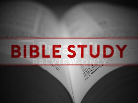Bible Study