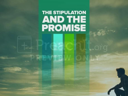 The Stipulation And The Promise