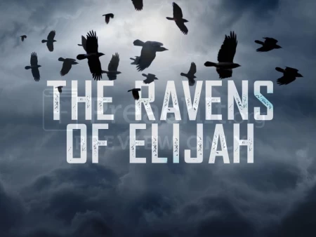 The Ravens Of Elijah