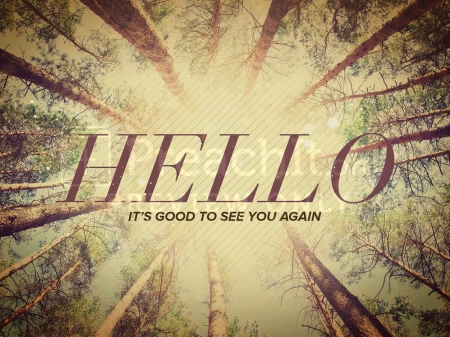 Hello It’s Good To See You Again