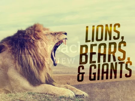 Lions, Bears, &  Giants