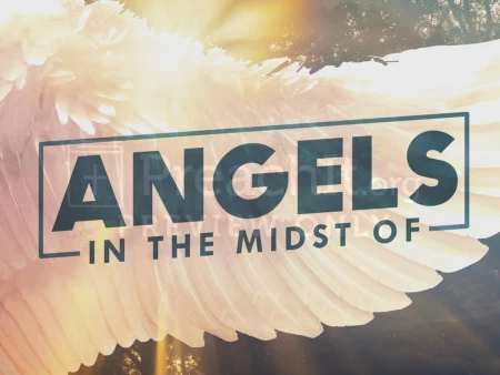 Angels in The Midst Of
