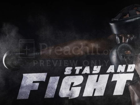 Stay and Fight