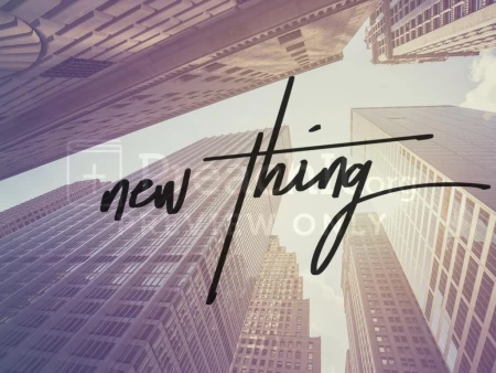 New Thing