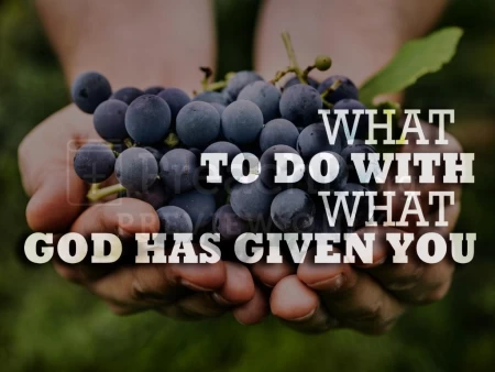 What To Do With What God Has Given You