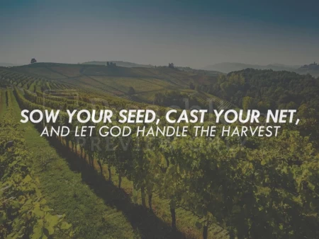 Let God Handle the Harvest