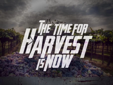 The Time For Harvest Is Now