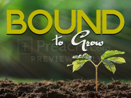 Bound To Grow