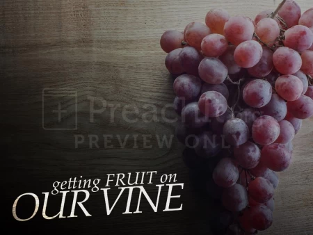 Getting Fruit on our Vine