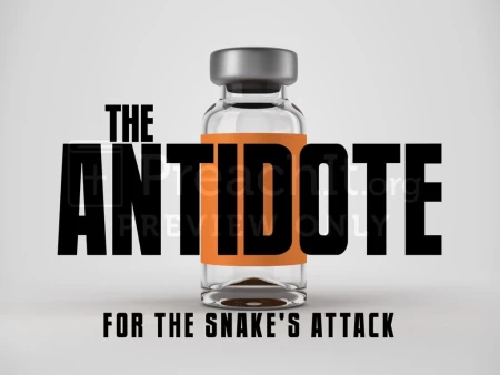 The Antidote for the Snake’s Attack