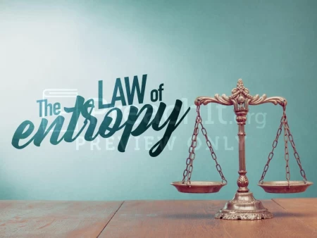 The Law Of Entropy