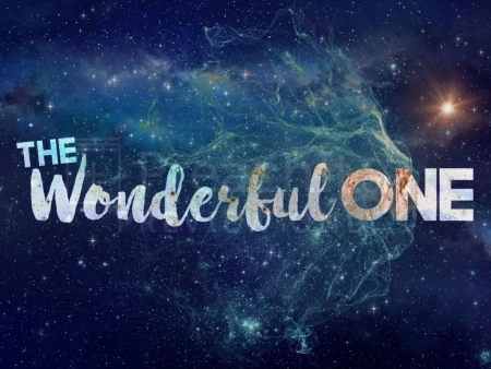 The Wonderful One