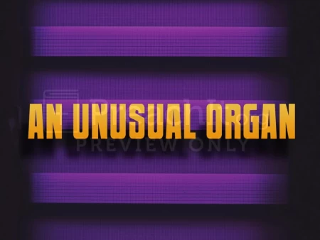 An Unusual Organ