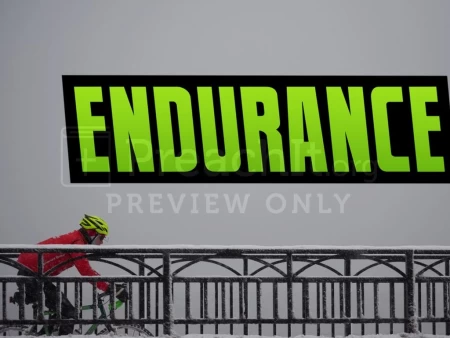 Endurance