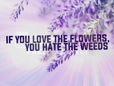 If You Love the Flowers, You Hate the Weeds