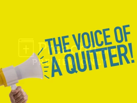 The Voice of a Quitter!