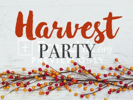 Harvest Party Orange White