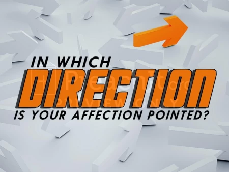 In Which Direction Is Your Affection Pointed?
