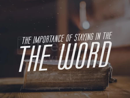 The Importance of Staying in the Word