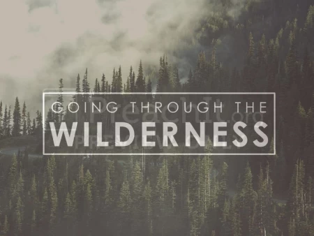 Going Through the Wilderness