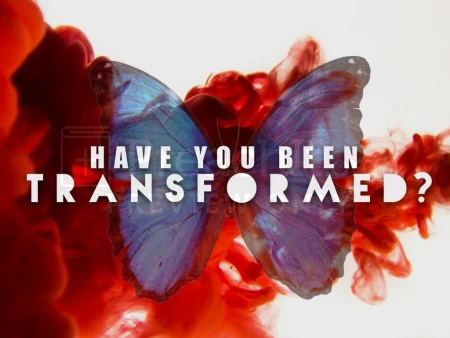 Have You Been Transformed?